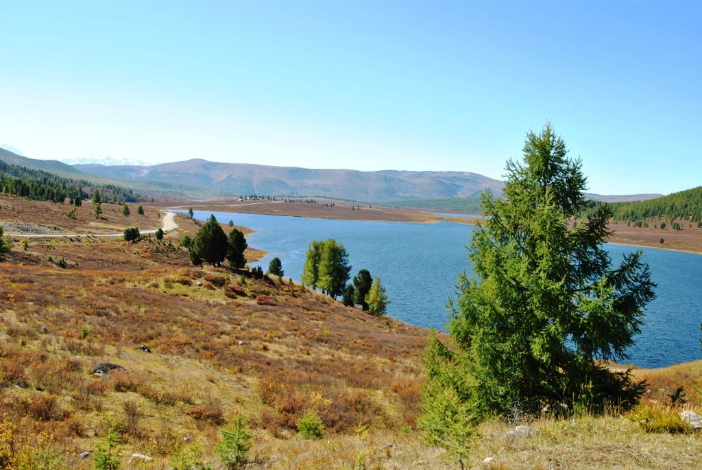 Озера Улаганского плато
