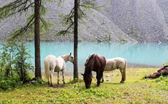 Поход на Шавлинские озера на конях